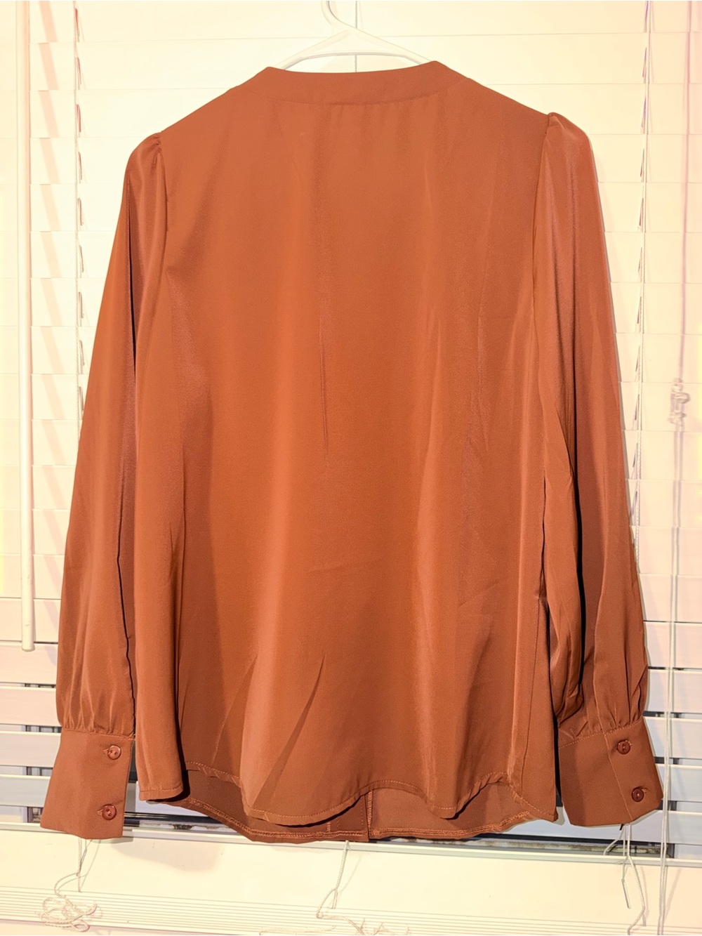 Amazon Rust Button-Down V-Neck Blouse - Picture 2 of 2